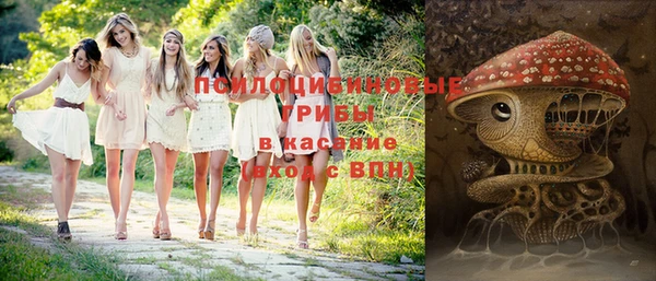 соль ск Алексин