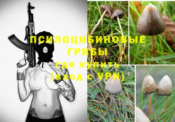 герыч Алзамай