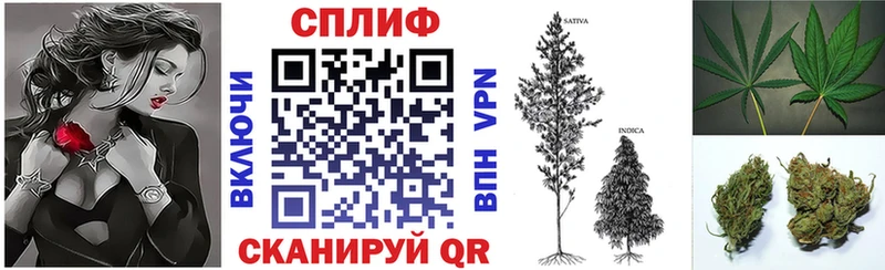 блэк спрут сайт  Чайковский  Шишки марихуана план 